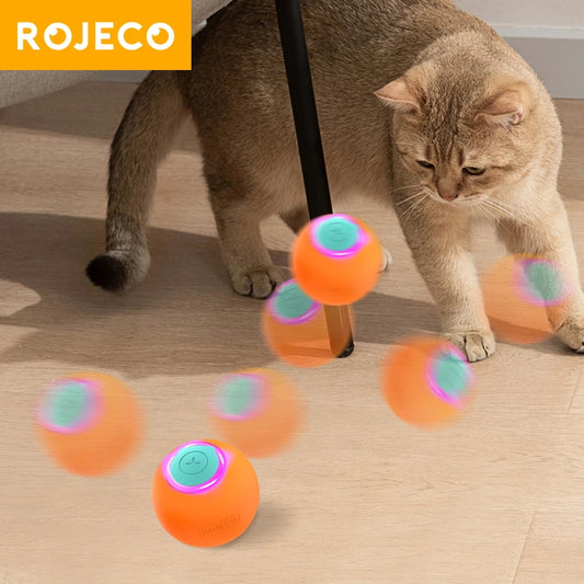 Pelota de rebote /gato